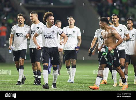 botafogo players